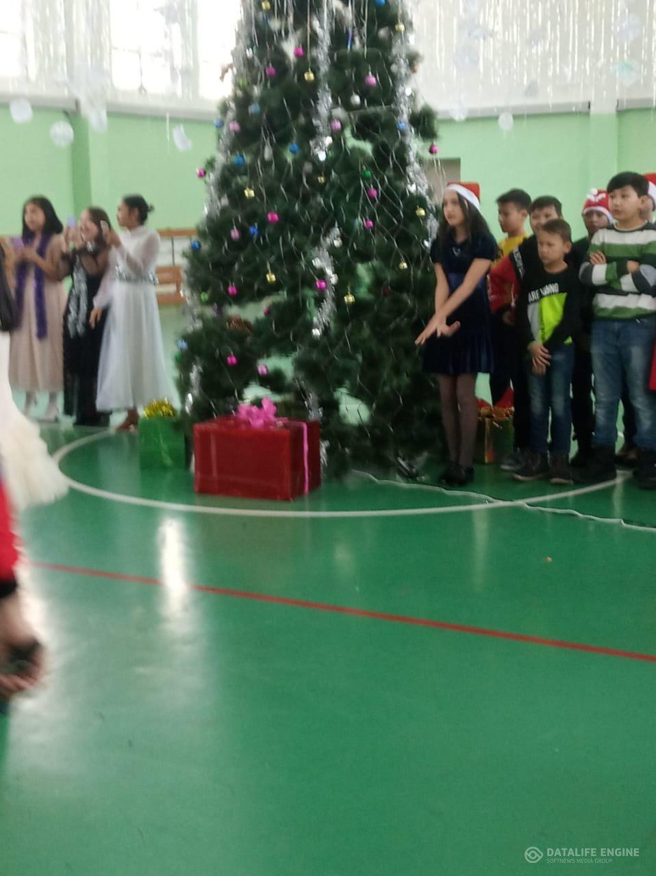 Жаңа жылдық шырша кеші