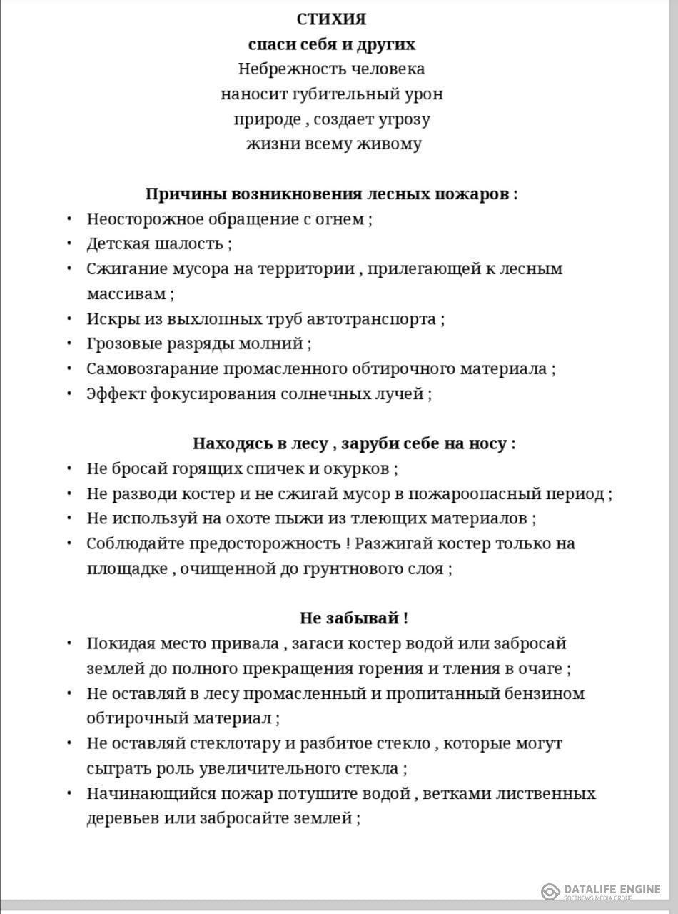 Ормандағы өрт, пайда болу себептері, Өзіңді және өзгелерді сақта!