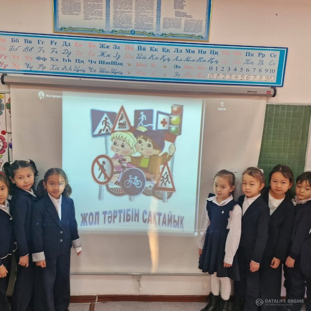 Жол қауіпсіздігі